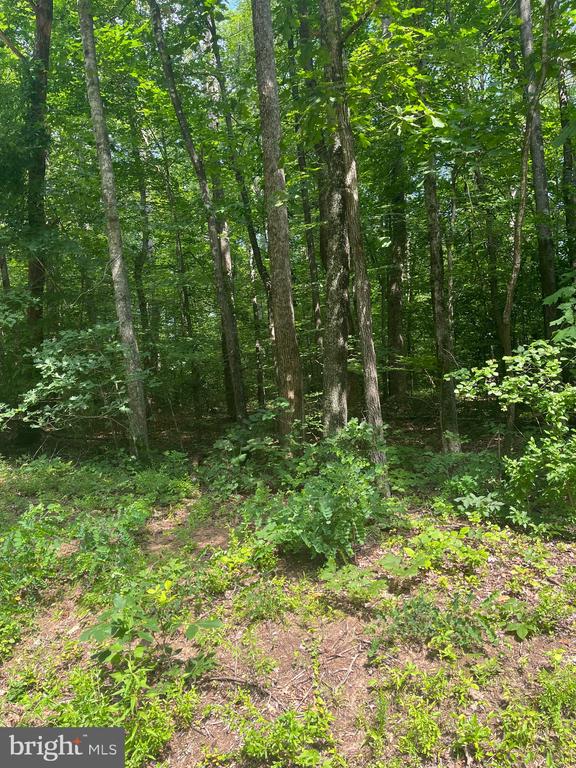 631 HAWK CIR, LOCUST DALE, Virginia 22948, ,Land,631 HAWK CIR,VAMA2002678 MLS # VAMA2002678