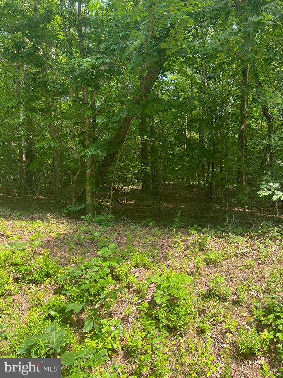 631 HAWK CIR, LOCUST DALE, Virginia 22948, ,Land,631 HAWK CIR,VAMA2002678 MLS # VAMA2002678