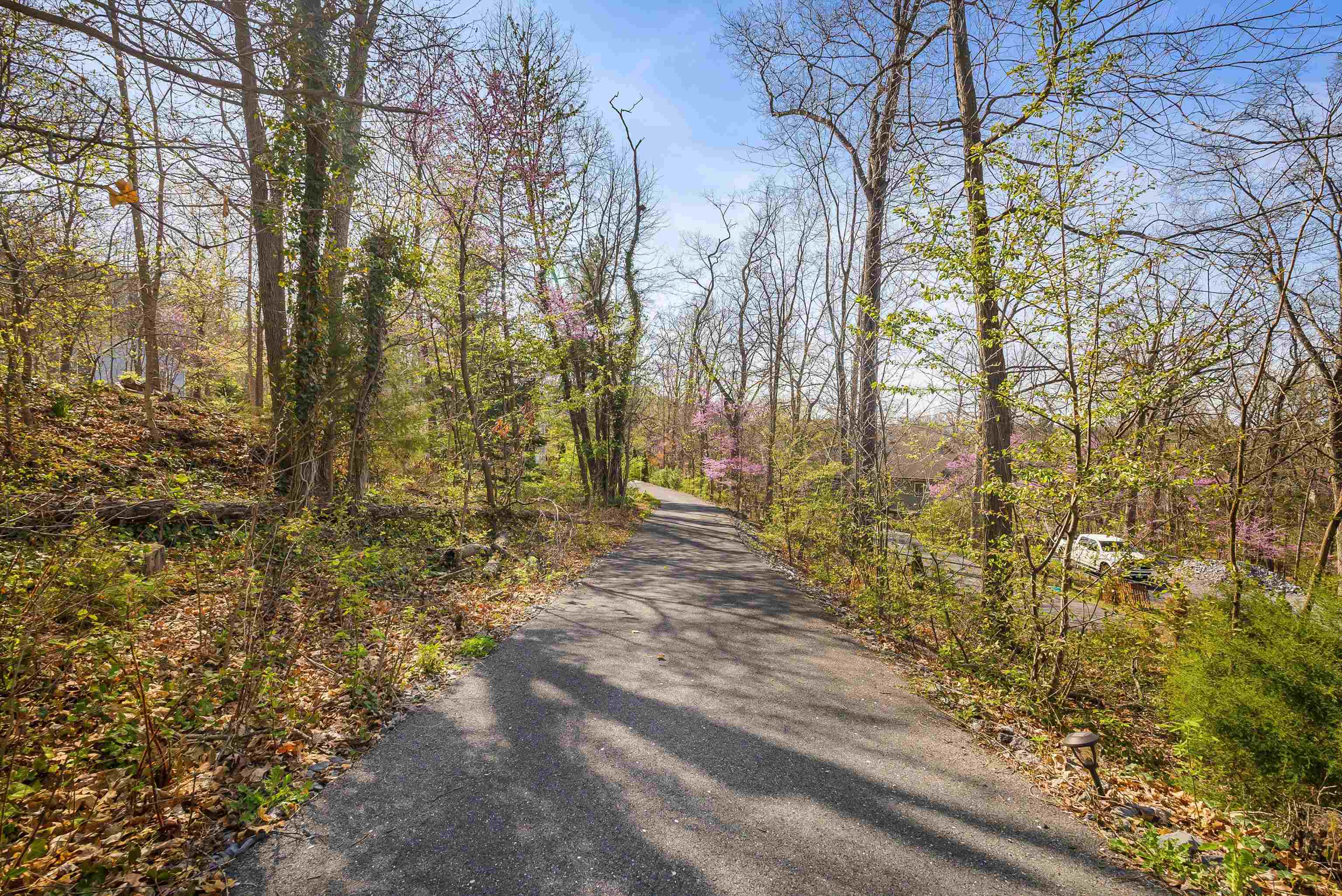 1180 B NELSON DR, HARRISONBURG, Virginia 22801, 3 Bedrooms Bedrooms, ,2 BathroomsBathrooms,Residential,1180 B NELSON DR,675359 MLS # 675359