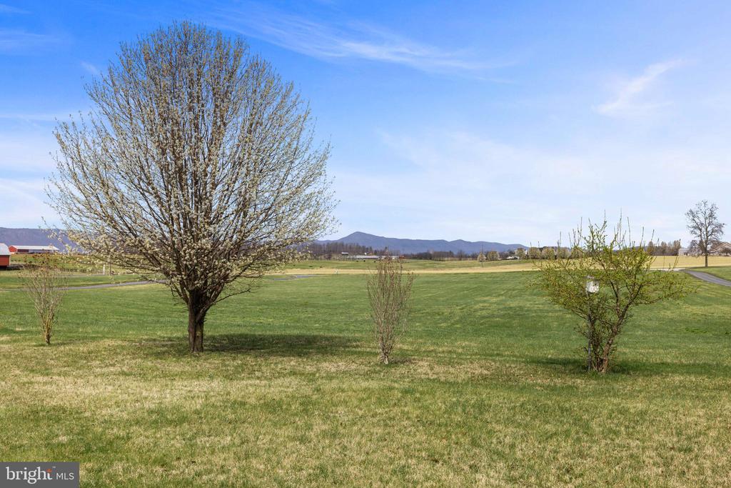 2143 MILL CREEK RD, LURAY, Virginia 22835, 4 Bedrooms Bedrooms, ,2 BathroomsBathrooms,Residential,2143 MILL CREEK RD,VAPA2006264 MLS # VAPA2006264 2143 MILL CREEK RD, LURAY, Virginia 22835, 4 Bedrooms Bedrooms, ,2 BathroomsBathrooms,Residential,2143 MILL CREEK RD,VAPA2006264 MLS # VAPA2006264