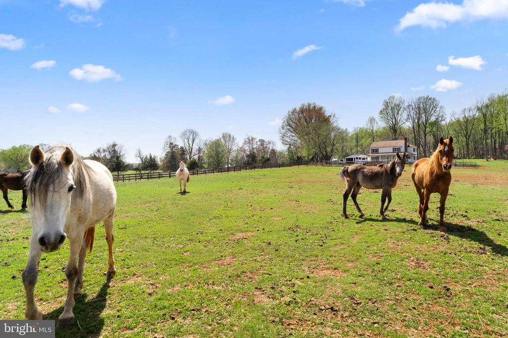 19050 MONTEITH FARM RD, GORDONSVILLE, Virginia 22942, 4 Bedrooms Bedrooms, ,2 BathroomsBathrooms,Residential,19050 MONTEITH FARM RD,VAOR2013714 MLS # VAOR2013714