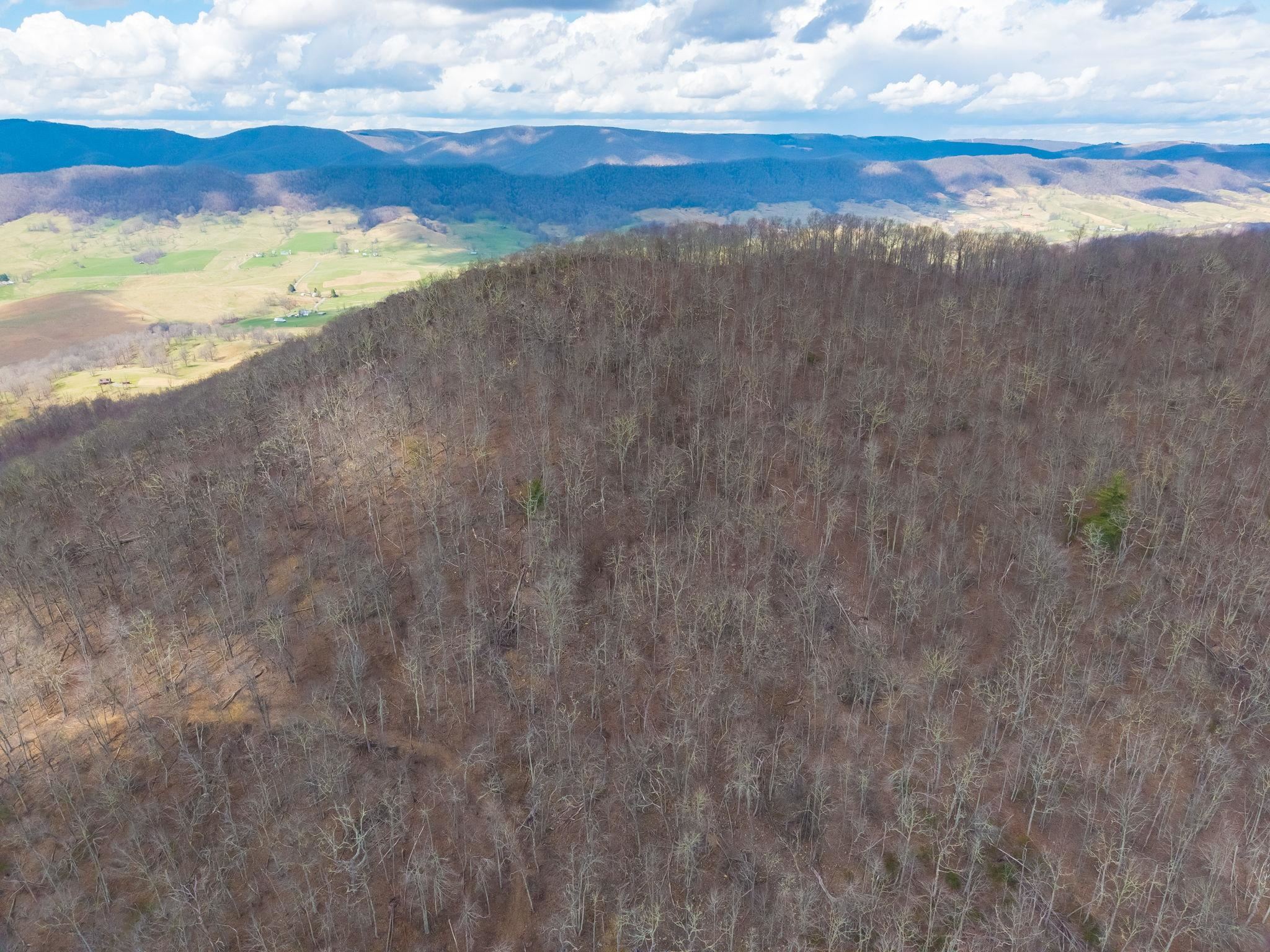 3356 JACKSON RIVER RD, MONTEREY, Virginia 24465, 3 Bedrooms Bedrooms, ,3 BathroomsBathrooms,Residential,3356 JACKSON RIVER RD,675365 MLS # 675365