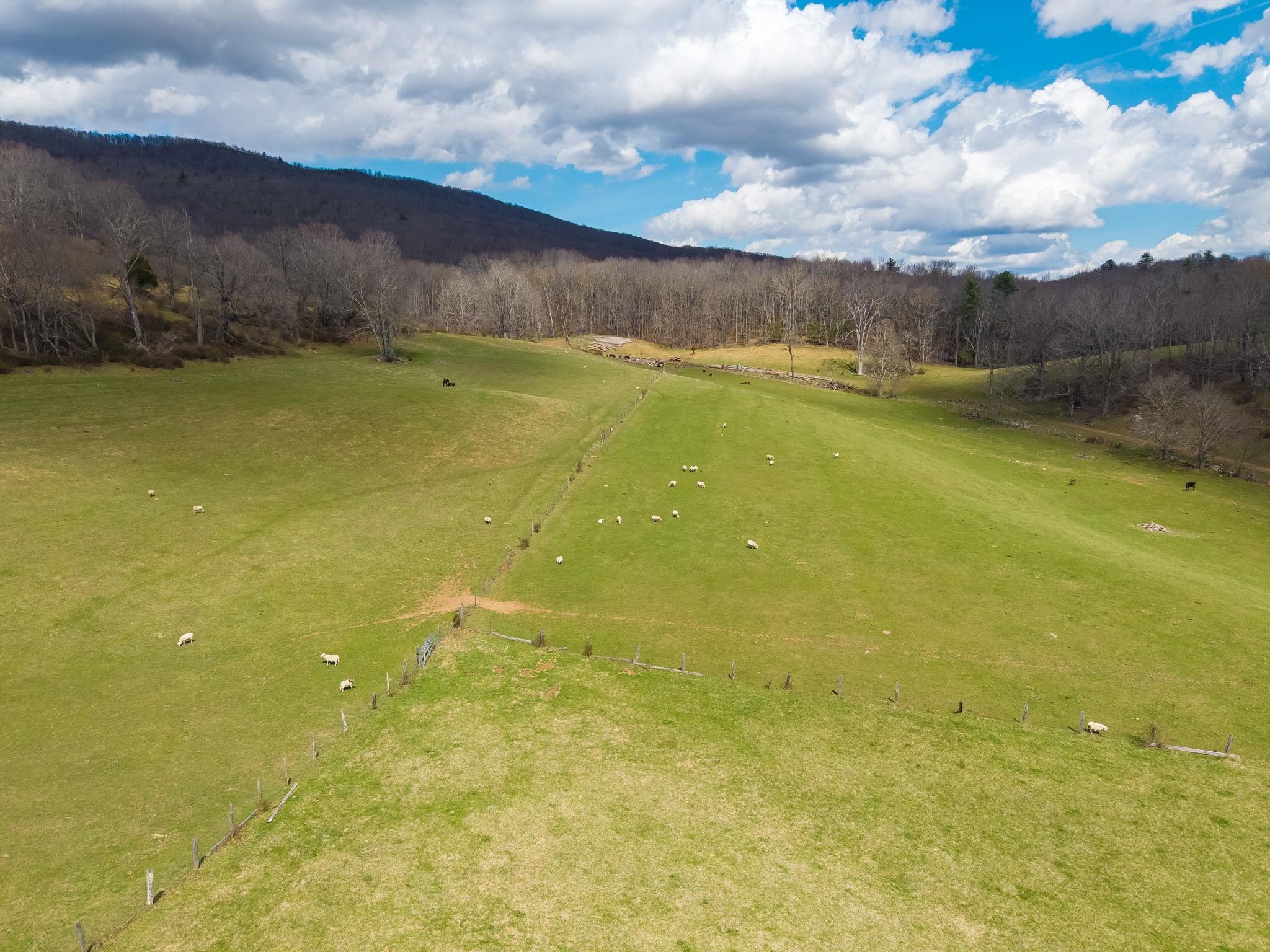 3356 JACKSON RIVER RD, MONTEREY, Virginia 24465, 3 Bedrooms Bedrooms, ,3 BathroomsBathrooms,Residential,3356 JACKSON RIVER RD,675365 MLS # 675365