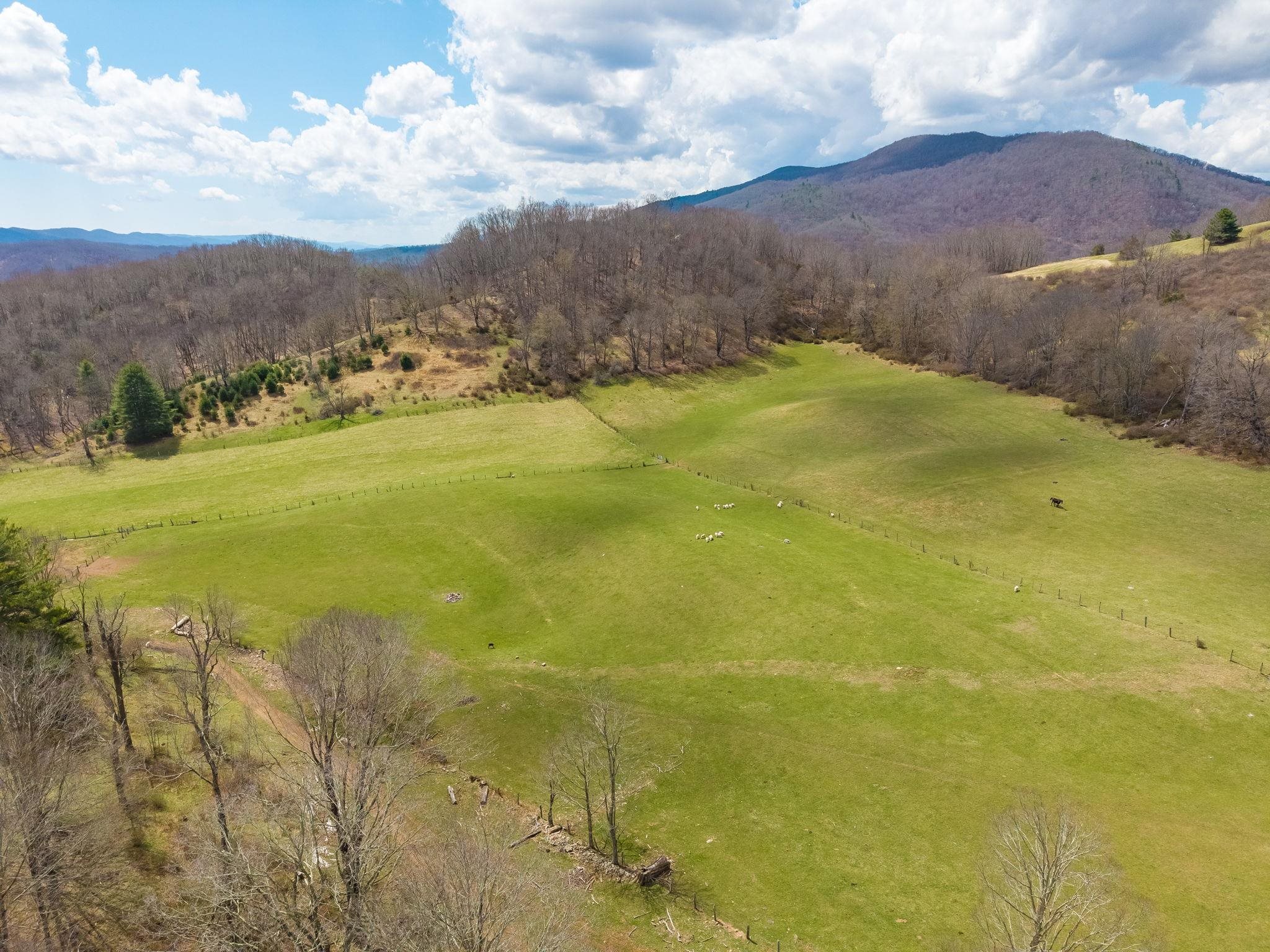 3356 JACKSON RIVER RD, MONTEREY, Virginia 24465, 3 Bedrooms Bedrooms, ,3 BathroomsBathrooms,Residential,3356 JACKSON RIVER RD,675365 MLS # 675365