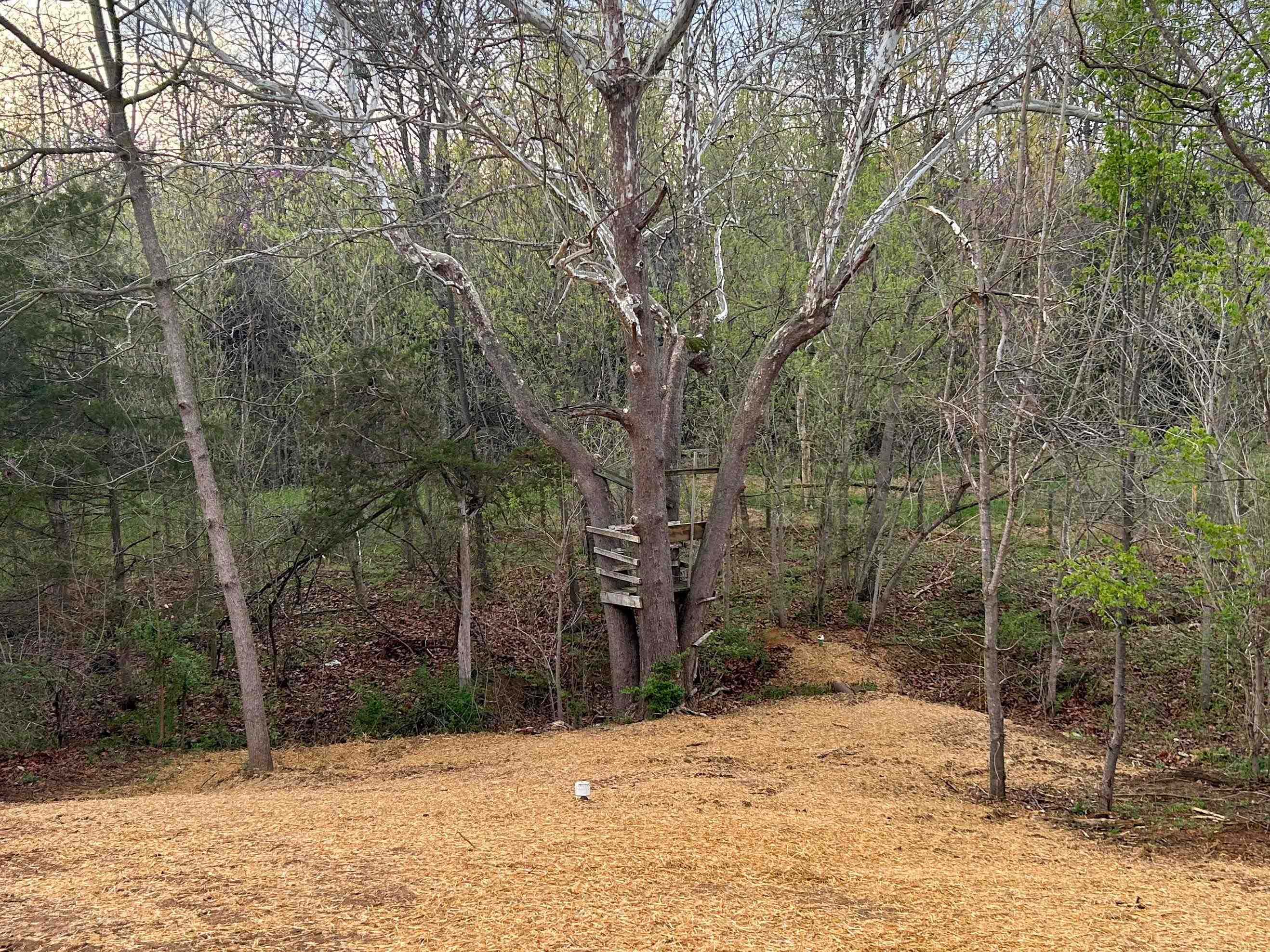 244 LOCUSTDALE LOOP, SHENANDOAH, Virginia 22849, 3 Bedrooms Bedrooms, ,2 BathroomsBathrooms,Residential,244 LOCUSTDALE LOOP,675374 MLS # 675374