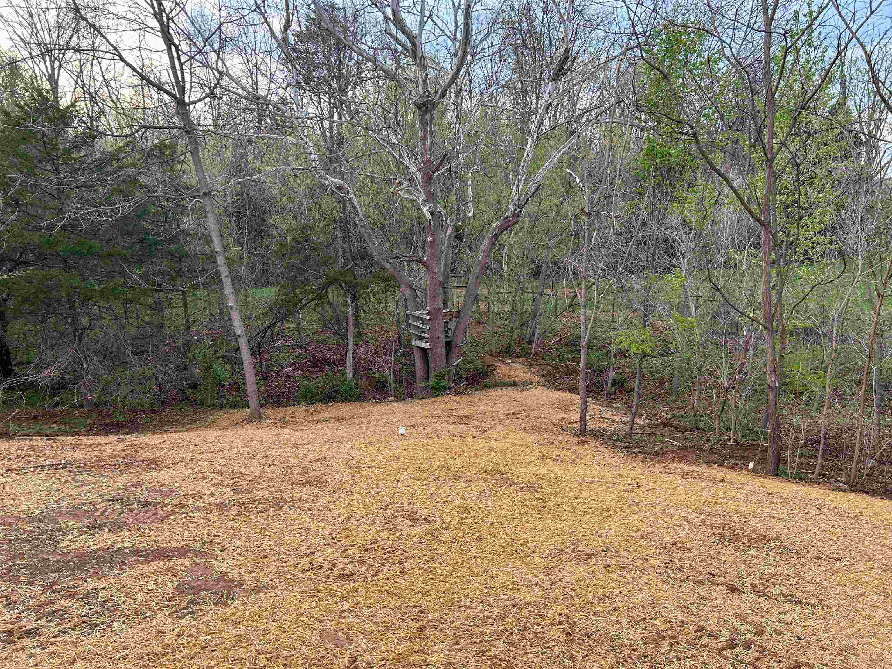 244 LOCUSTDALE LOOP, SHENANDOAH, Virginia 22849, 3 Bedrooms Bedrooms, ,2 BathroomsBathrooms,Residential,244 LOCUSTDALE LOOP,675374 MLS # 675374