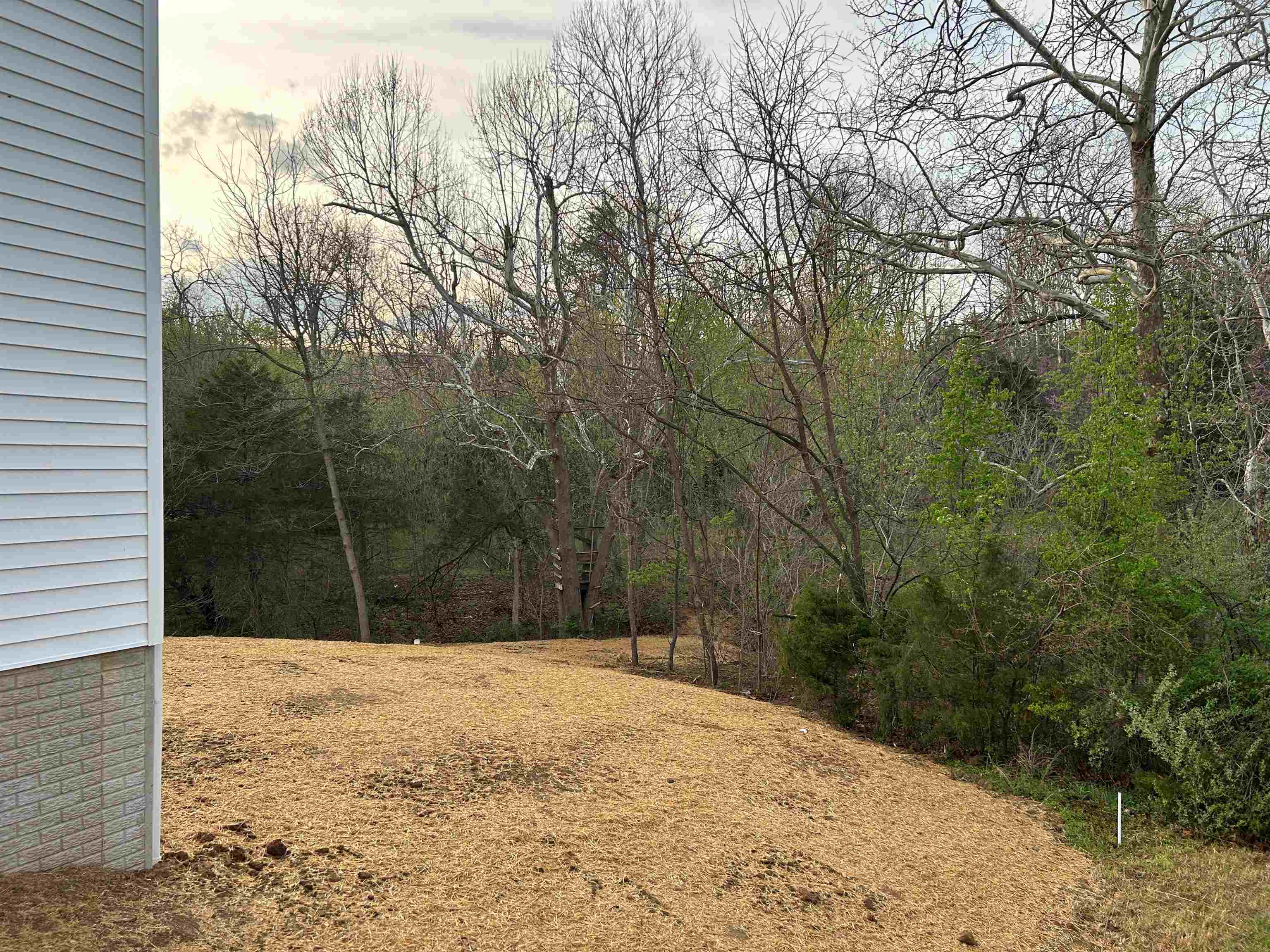 244 LOCUSTDALE LOOP, SHENANDOAH, Virginia 22849, 3 Bedrooms Bedrooms, ,2 BathroomsBathrooms,Residential,244 LOCUSTDALE LOOP,675374 MLS # 675374