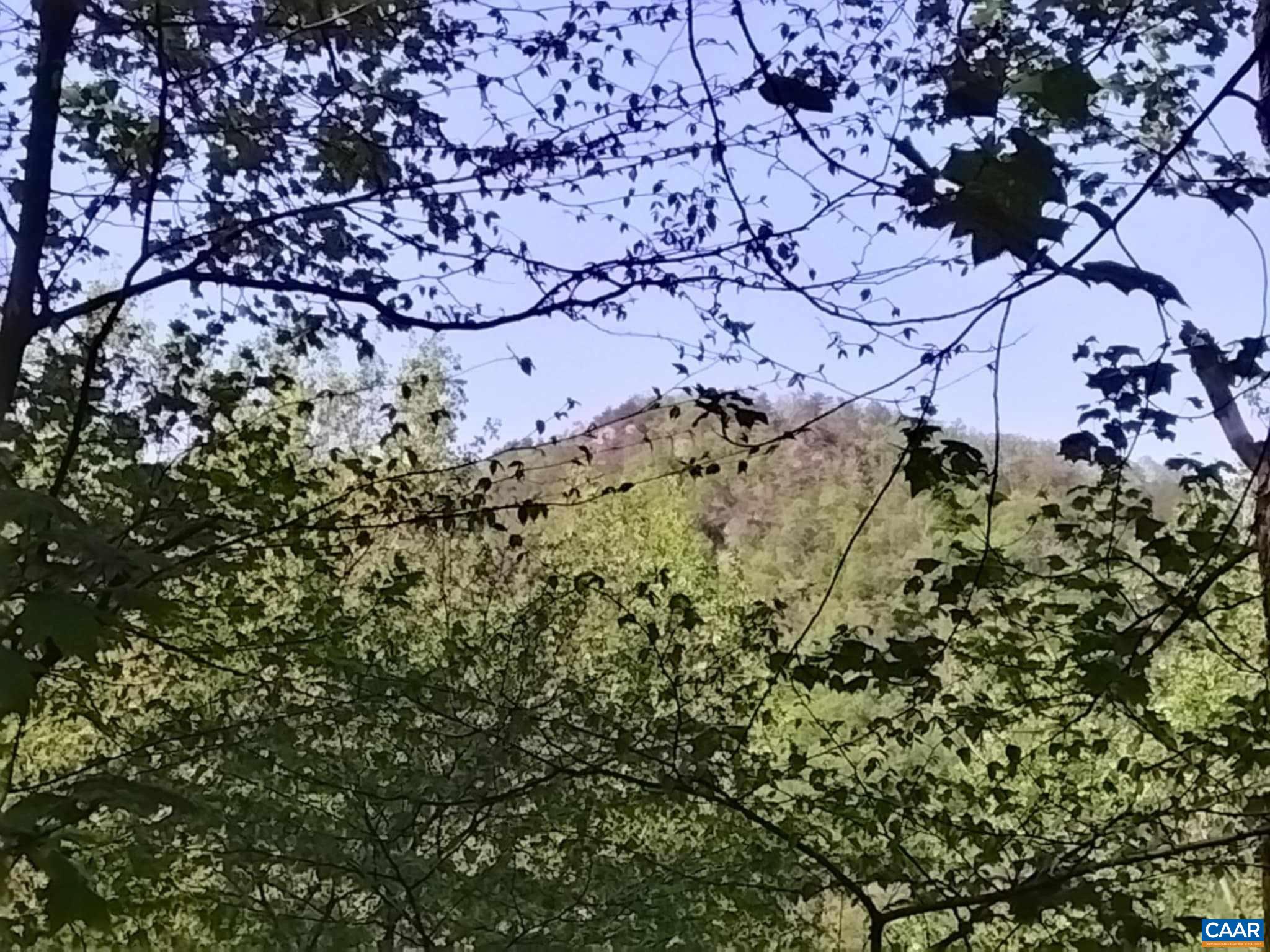 TBD OLD BLUE RIDGE TPKE, SYRIA, Virginia 22743, ,Land,TBD OLD BLUE RIDGE TPKE,663883 MLS # 663883 TBD OLD BLUE RIDGE TPKE, SYRIA, Virginia 22743, ,Land,TBD OLD BLUE RIDGE TPKE,663883 MLS # 663883