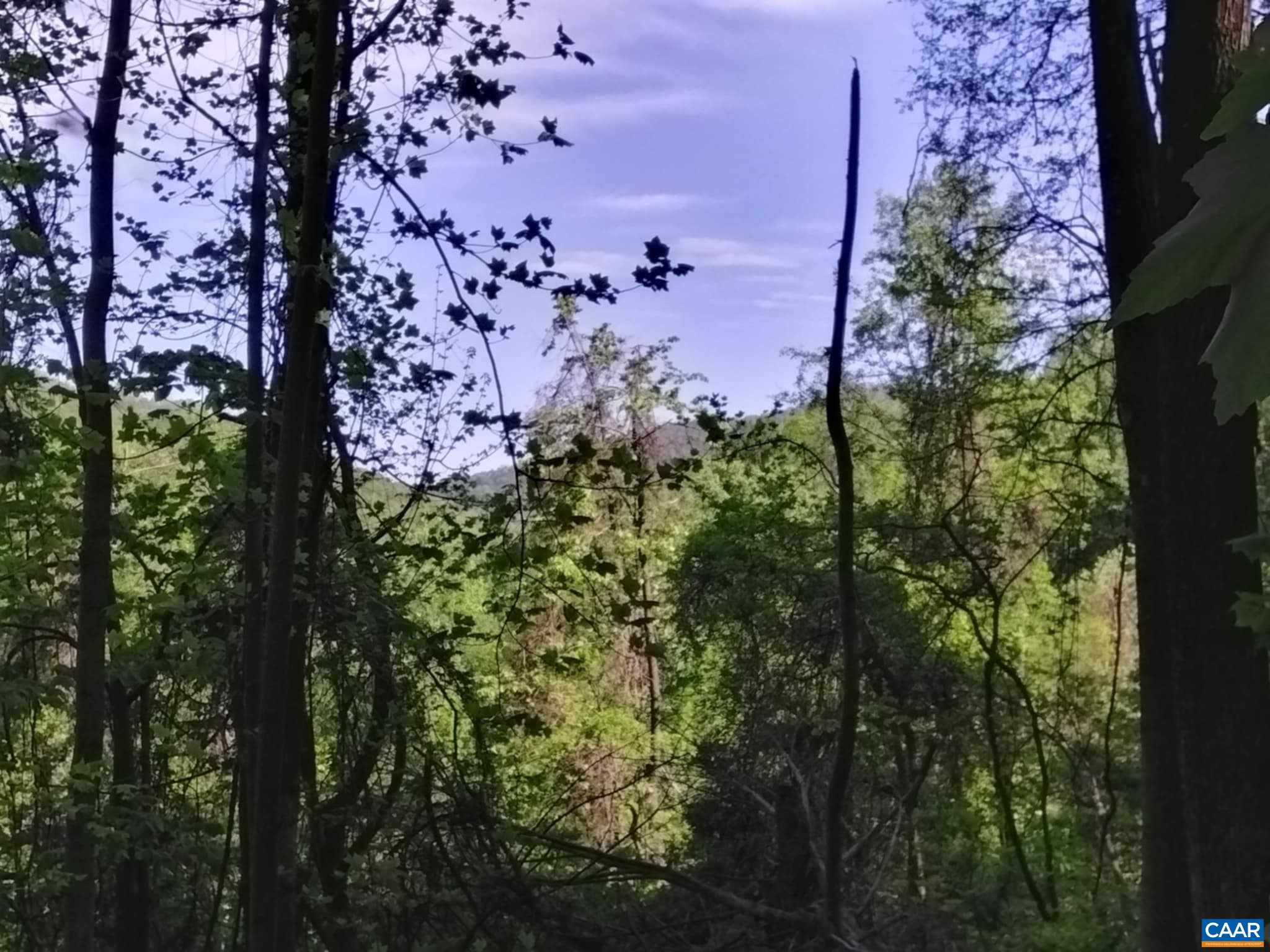 TBD OLD BLUE RIDGE TPKE, SYRIA, Virginia 22743, ,Land,TBD OLD BLUE RIDGE TPKE,663883 MLS # 663883 TBD OLD BLUE RIDGE TPKE, SYRIA, Virginia 22743, ,Land,TBD OLD BLUE RIDGE TPKE,663883 MLS # 663883