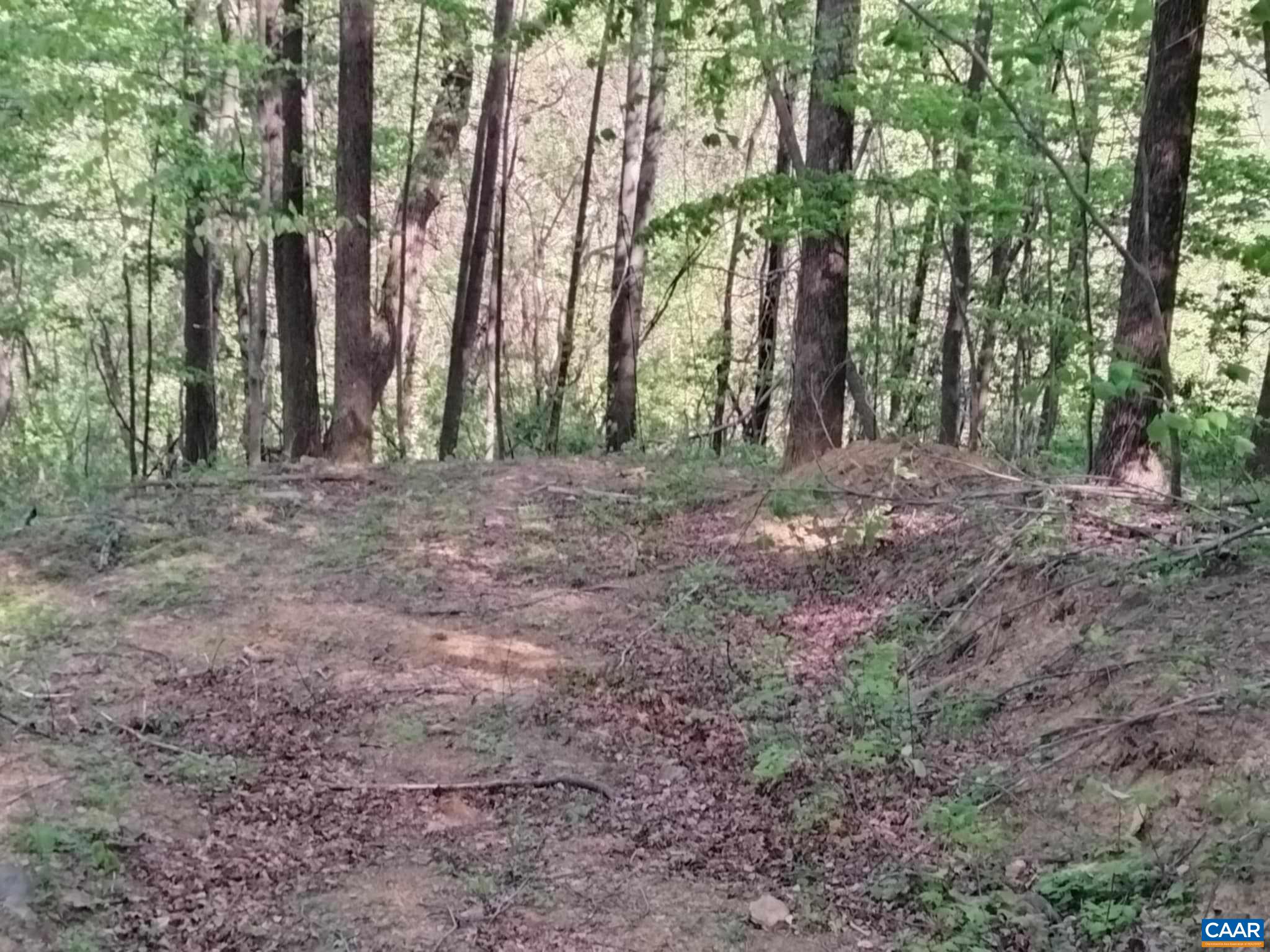 TBD OLD BLUE RIDGE TPKE, SYRIA, Virginia 22743, ,Land,TBD OLD BLUE RIDGE TPKE,663883 MLS # 663883 TBD OLD BLUE RIDGE TPKE, SYRIA, Virginia 22743, ,Land,TBD OLD BLUE RIDGE TPKE,663883 MLS # 663883