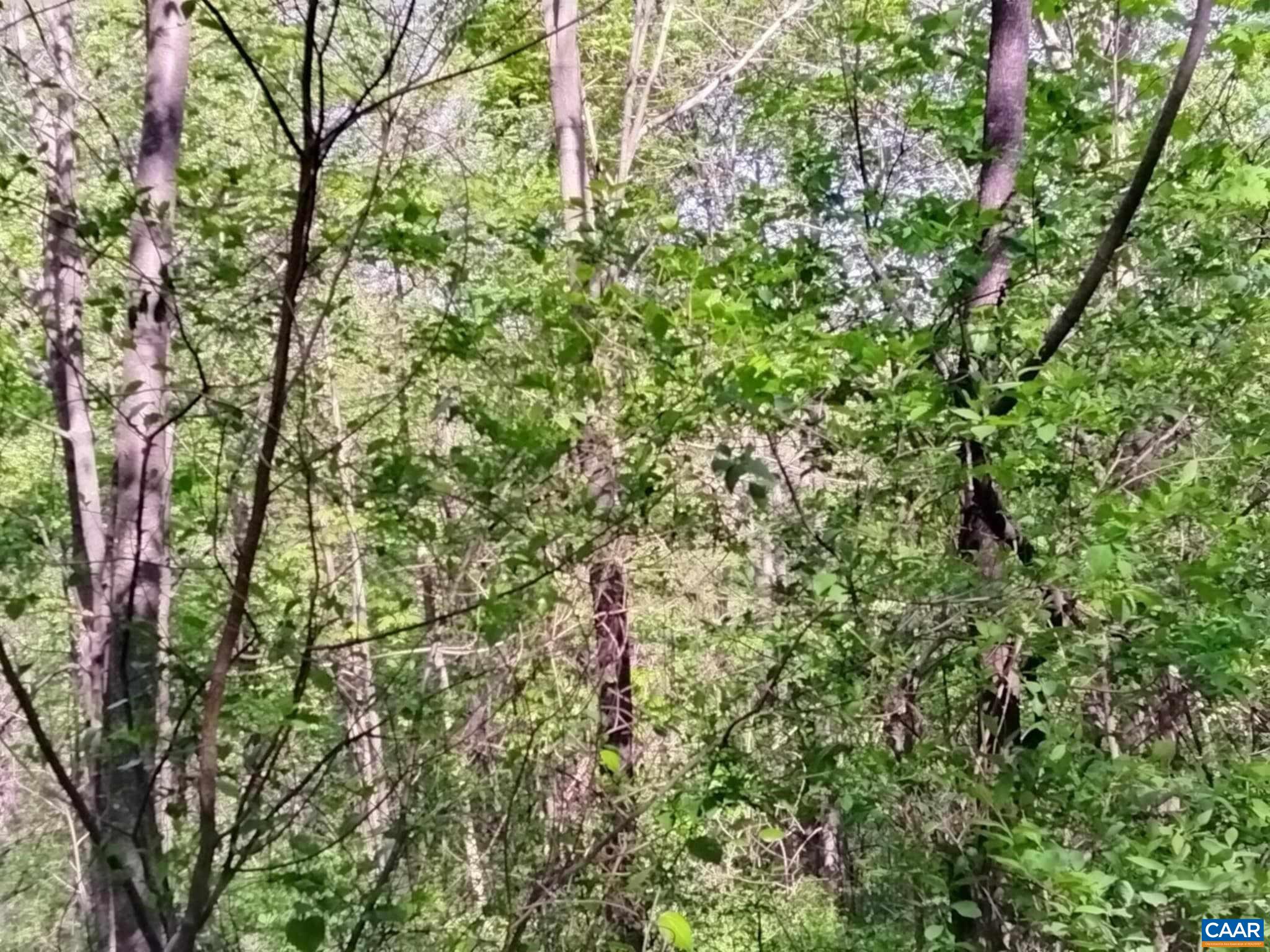 TBD OLD BLUE RIDGE TPKE, SYRIA, Virginia 22743, ,Land,TBD OLD BLUE RIDGE TPKE,663883 MLS # 663883 TBD OLD BLUE RIDGE TPKE, SYRIA, Virginia 22743, ,Land,TBD OLD BLUE RIDGE TPKE,663883 MLS # 663883