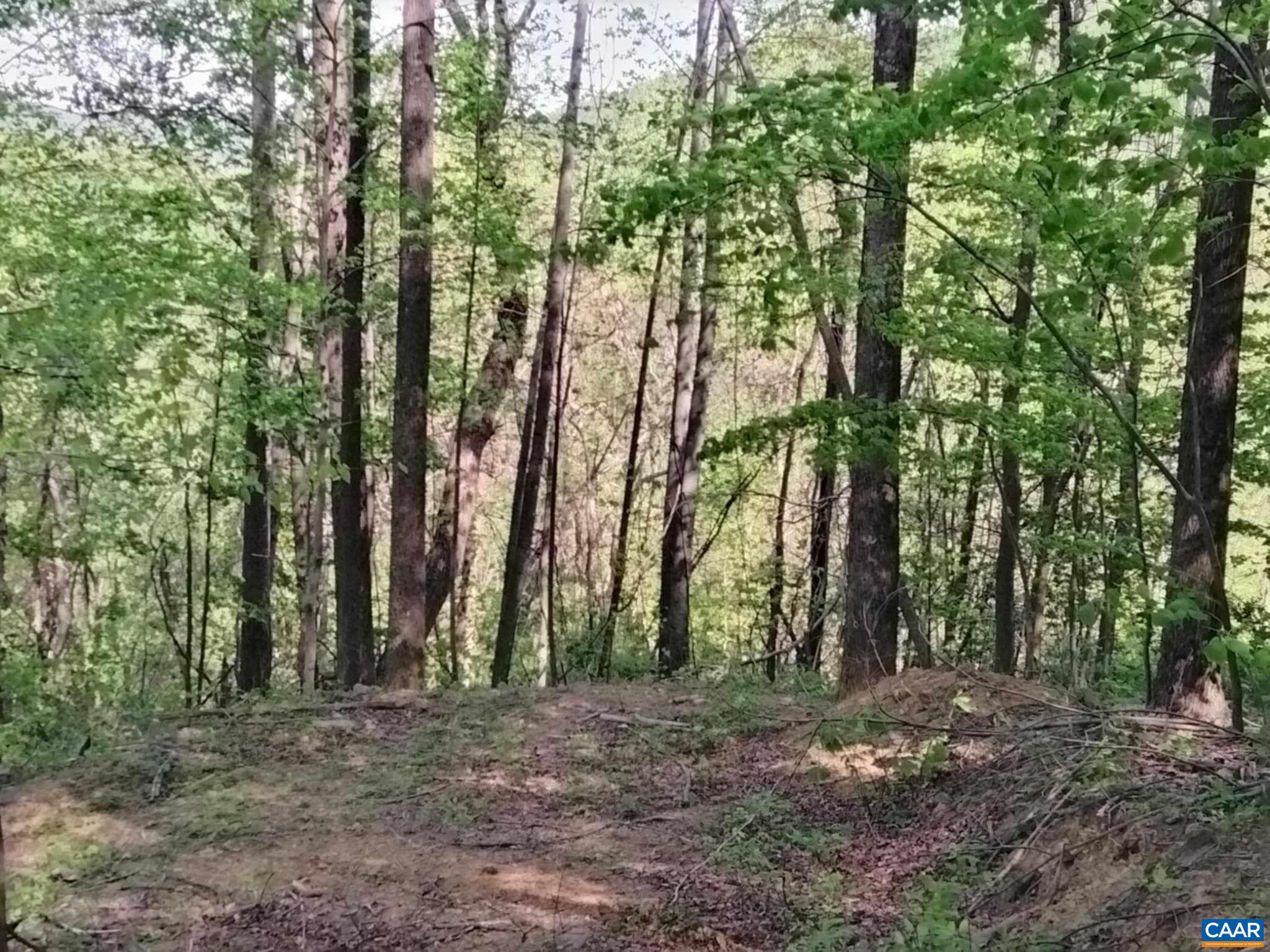 TBD OLD BLUE RIDGE TPKE, SYRIA, Virginia 22743, ,Land,TBD OLD BLUE RIDGE TPKE,663883 MLS # 663883 TBD OLD BLUE RIDGE TPKE, SYRIA, Virginia 22743, ,Land,TBD OLD BLUE RIDGE TPKE,663883 MLS # 663883