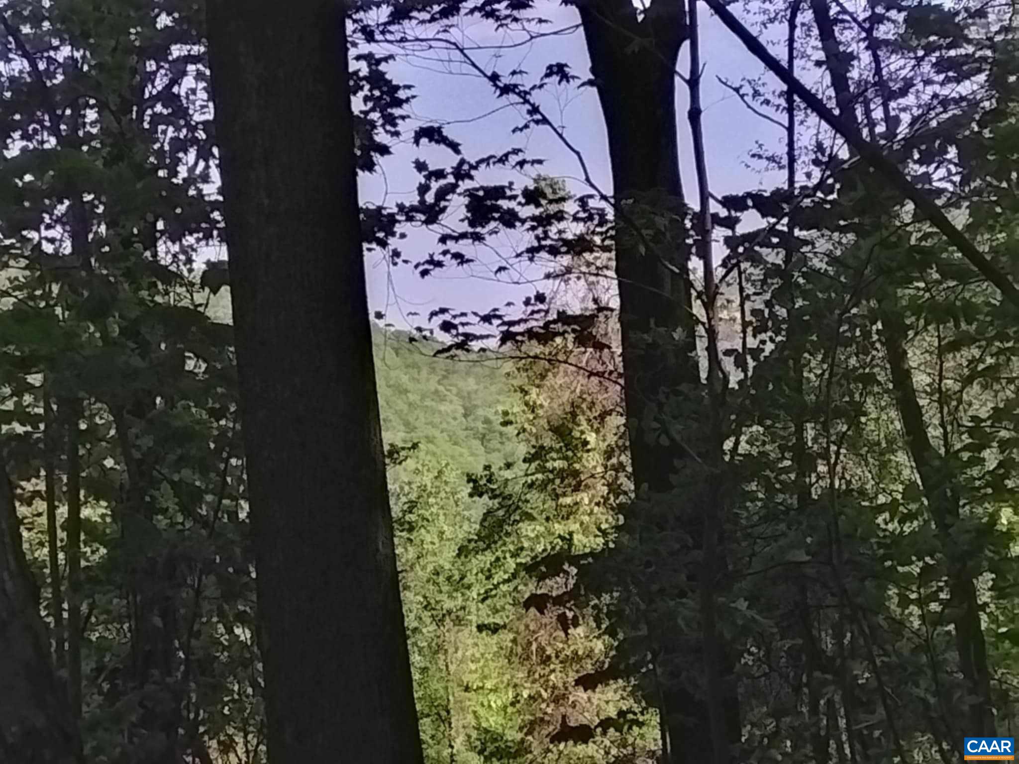 TBD OLD BLUE RIDGE TPKE, SYRIA, Virginia 22743, ,Land,TBD OLD BLUE RIDGE TPKE,663883 MLS # 663883 TBD OLD BLUE RIDGE TPKE, SYRIA, Virginia 22743, ,Land,TBD OLD BLUE RIDGE TPKE,663883 MLS # 663883