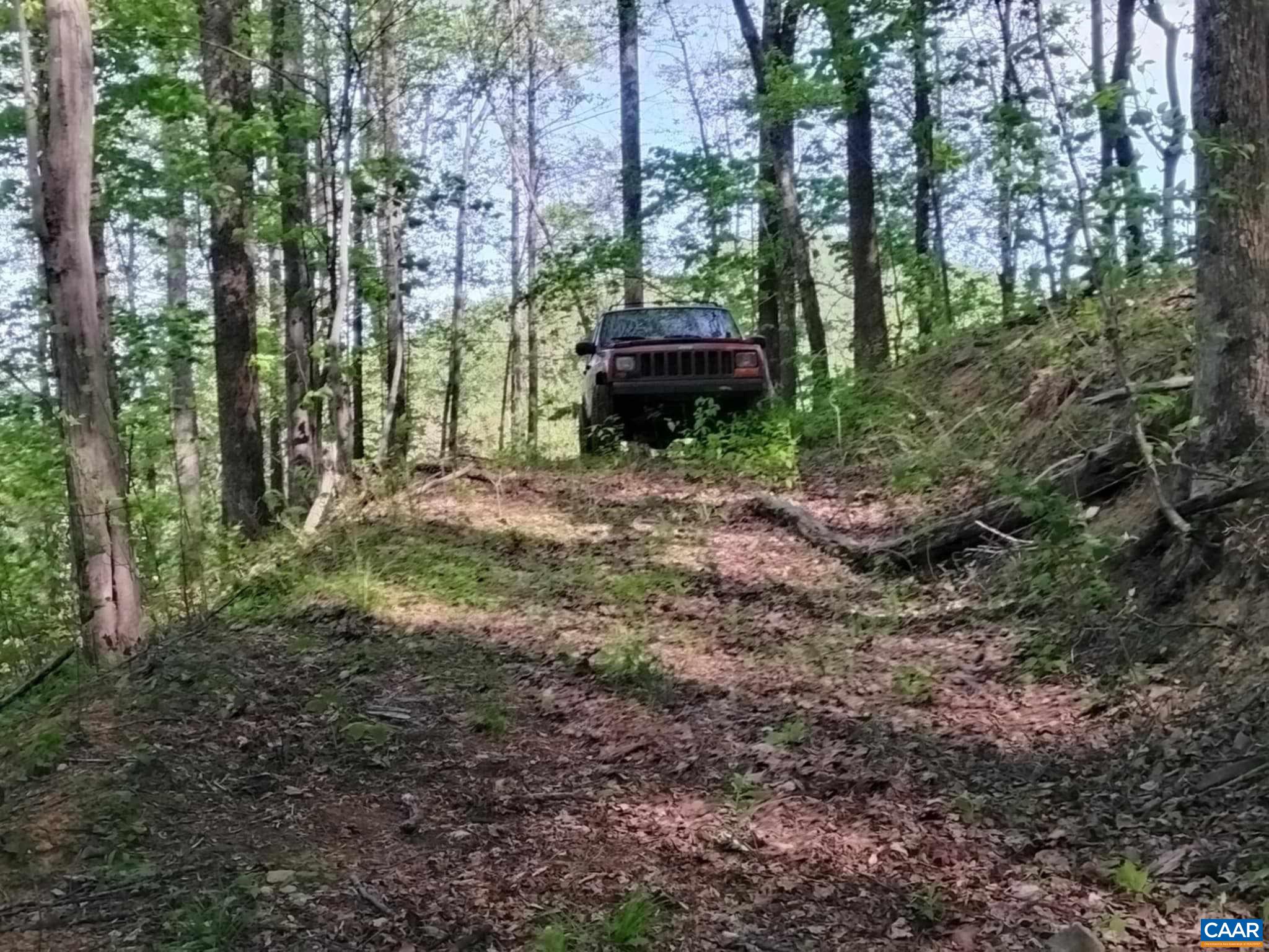 TBD OLD BLUE RIDGE TPKE, SYRIA, Virginia 22743, ,Land,TBD OLD BLUE RIDGE TPKE,663883 MLS # 663883 TBD OLD BLUE RIDGE TPKE, SYRIA, Virginia 22743, ,Land,TBD OLD BLUE RIDGE TPKE,663883 MLS # 663883