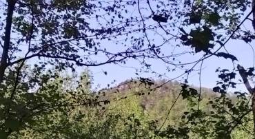 TBD OLD BLUE RIDGE TPKE, SYRIA, Virginia 22743, ,Land,TBD OLD BLUE RIDGE TPKE,663883 MLS # 663883