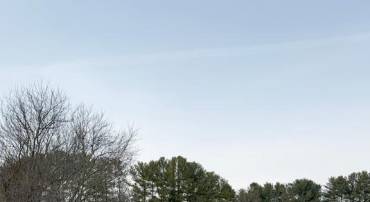 11733 JAMES MADISON HWY, CULPEPER, Virginia 22701, 5 Bedrooms Bedrooms, ,3 BathroomsBathrooms,Residential,11733 JAMES MADISON HWY,VACU2013240 MLS # VACU2013240