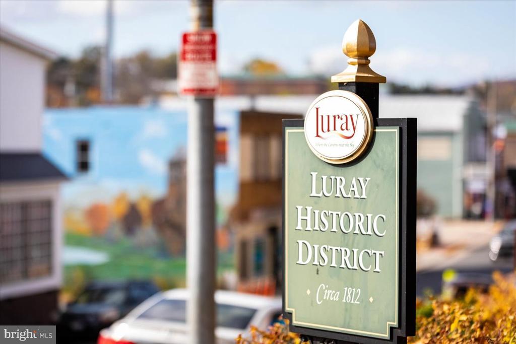 319 LAKE DR, LURAY, Virginia 22835, 3 Bedrooms Bedrooms, ,2 BathroomsBathrooms,Residential,319 LAKE DR,VAPA2006266 MLS # VAPA2006266