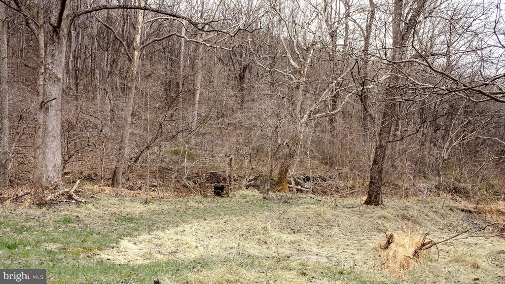 326 KEYSER RUN RD, WASHINGTON, Virginia, 3 Bedrooms Bedrooms, ,1 BathroomBathrooms,Residential,326 KEYSER RUN RD,VARP2002574 MLS # VARP2002574