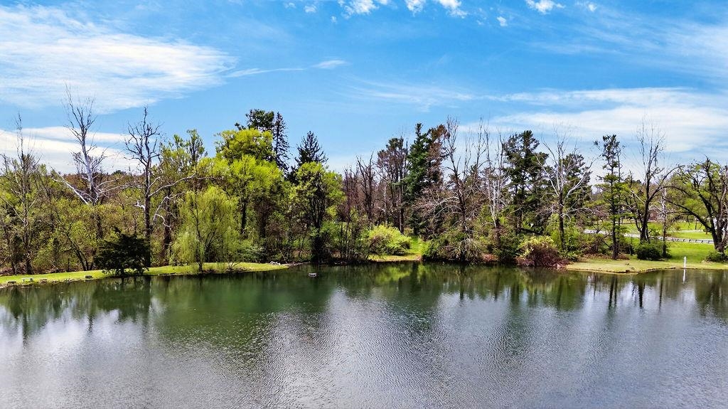 208 CLAYBROOK DR, WAYNESBORO, Virginia 22980, 6 Bedrooms Bedrooms, ,3 BathroomsBathrooms,Residential,208 CLAYBROOK DR,675390 MLS # 675390