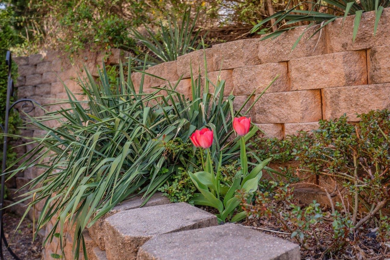 4270 AJAX CT, ROCKINGHAM, Virginia 22801, 5 Bedrooms Bedrooms, ,4 BathroomsBathrooms,Residential,4270 AJAX CT,675405 MLS # 675405 4270 AJAX CT, ROCKINGHAM, Virginia 22801, 5 Bedrooms Bedrooms, ,4 BathroomsBathrooms,Residential,4270 AJAX CT,675405 MLS # 675405