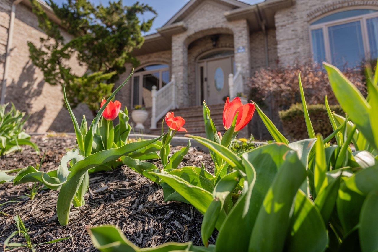 4270 AJAX CT, ROCKINGHAM, Virginia 22801, 5 Bedrooms Bedrooms, ,4 BathroomsBathrooms,Residential,4270 AJAX CT,675405 MLS # 675405 4270 AJAX CT, ROCKINGHAM, Virginia 22801, 5 Bedrooms Bedrooms, ,4 BathroomsBathrooms,Residential,4270 AJAX CT,675405 MLS # 675405