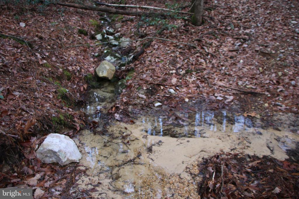 VALLEY BURG RD, LURAY, Virginia 22835, ,Farm,VALLEY BURG RD,VAPA2006260 MLS # VAPA2006260