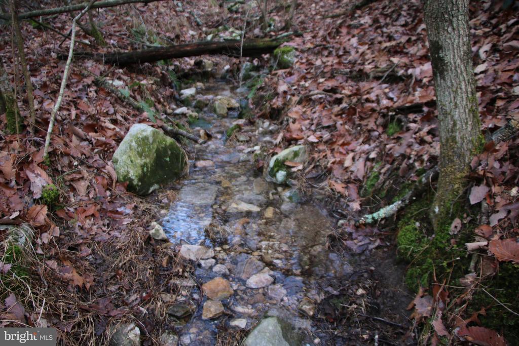 VALLEY BURG RD, LURAY, Virginia 22835, ,Farm,VALLEY BURG RD,VAPA2006260 MLS # VAPA2006260