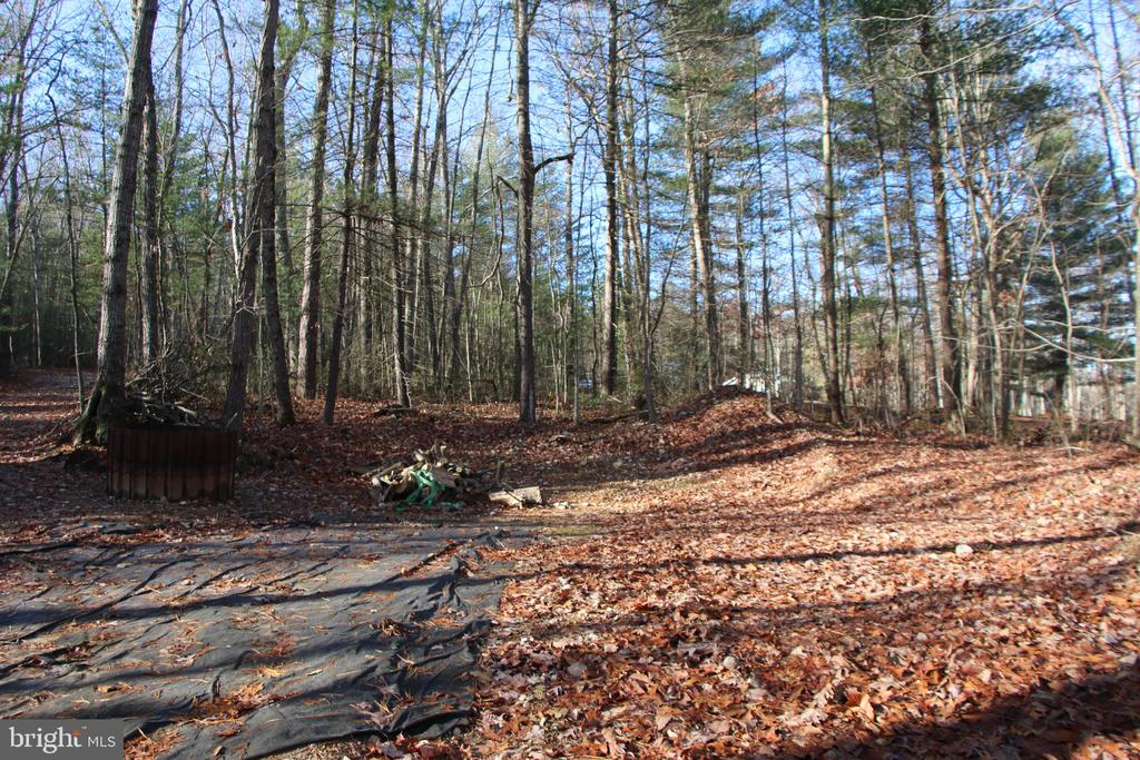 VALLEY BURG RD, LURAY, Virginia 22835, ,Farm,VALLEY BURG RD,VAPA2006260 MLS # VAPA2006260