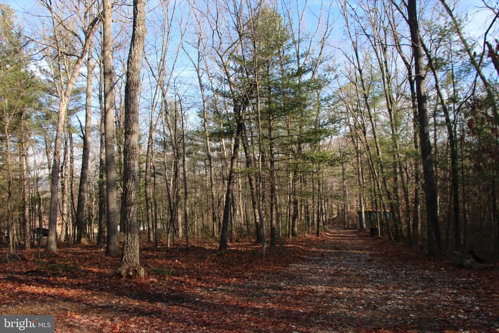 VALLEY BURG RD, LURAY, Virginia 22835, ,Farm,VALLEY BURG RD,VAPA2006260 MLS # VAPA2006260