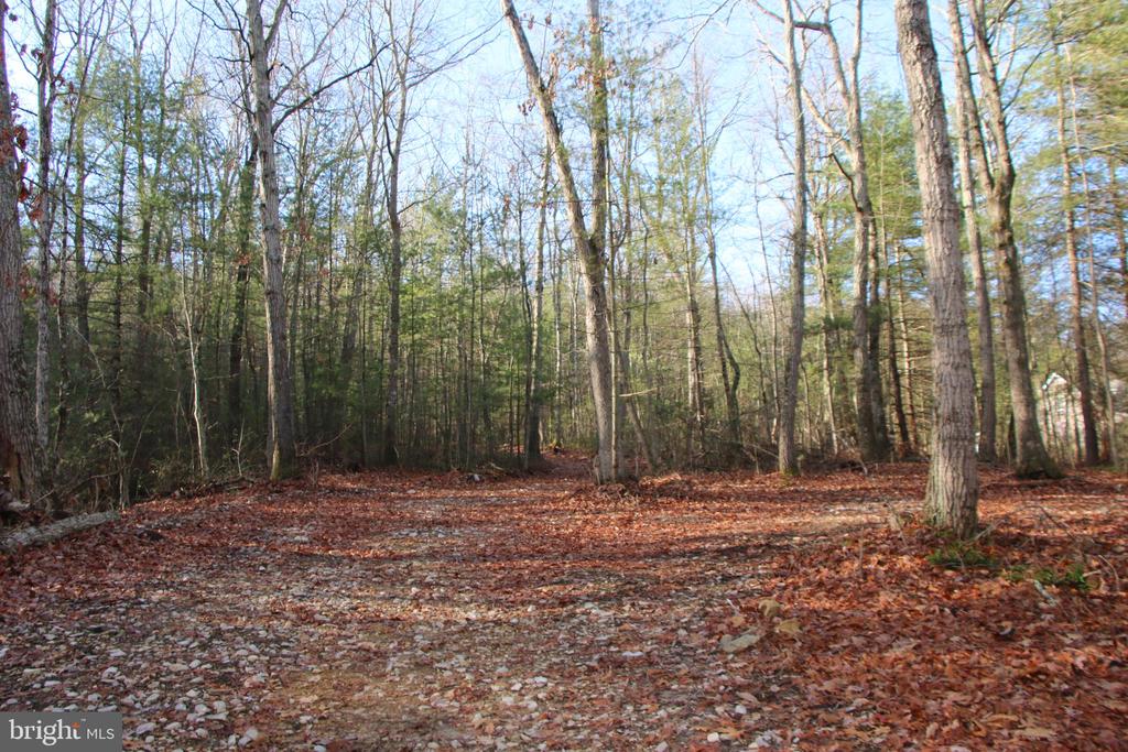 VALLEY BURG RD, LURAY, Virginia 22835, ,Farm,VALLEY BURG RD,VAPA2006260 MLS # VAPA2006260