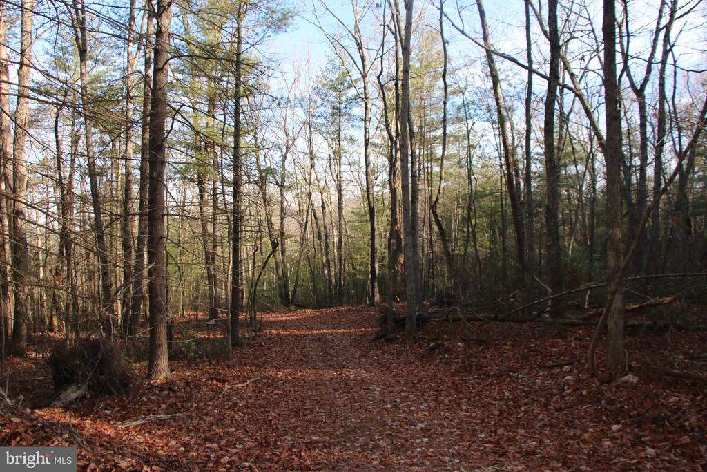 VALLEY BURG RD, LURAY, Virginia 22835, ,Farm,VALLEY BURG RD,VAPA2006260 MLS # VAPA2006260