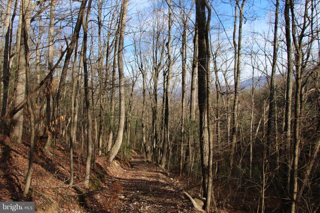 VALLEY BURG RD, LURAY, Virginia 22835, ,Farm,VALLEY BURG RD,VAPA2006260 MLS # VAPA2006260