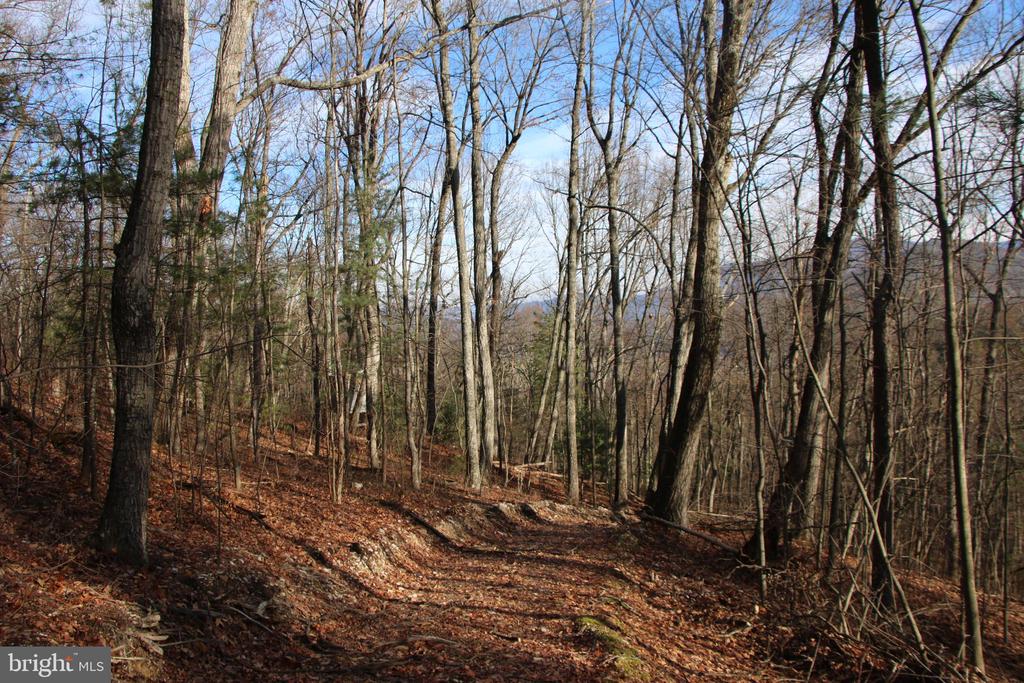 VALLEY BURG RD, LURAY, Virginia 22835, ,Farm,VALLEY BURG RD,VAPA2006260 MLS # VAPA2006260