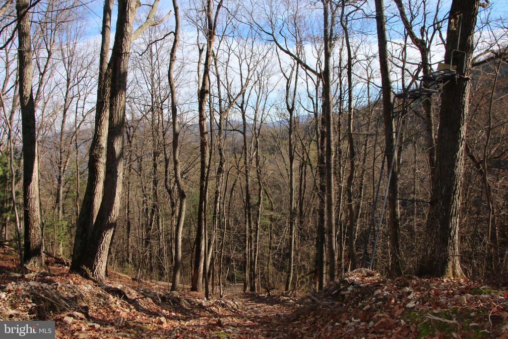 VALLEY BURG RD, LURAY, Virginia 22835, ,Farm,VALLEY BURG RD,VAPA2006260 MLS # VAPA2006260