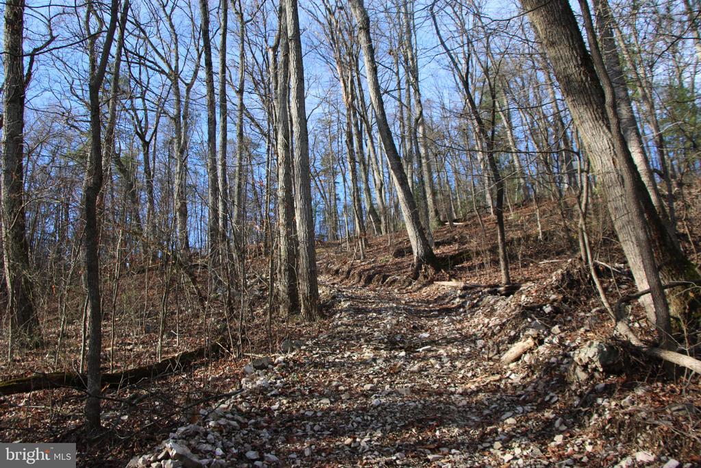 VALLEY BURG RD, LURAY, Virginia 22835, ,Farm,VALLEY BURG RD,VAPA2006260 MLS # VAPA2006260