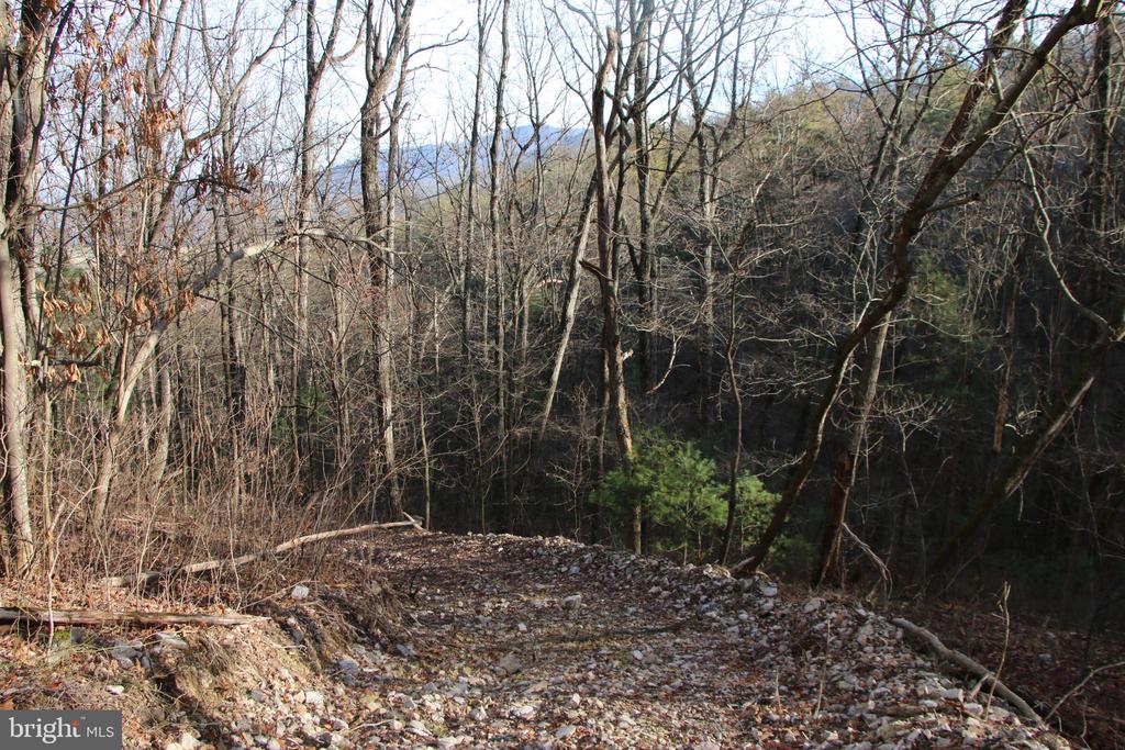 VALLEY BURG RD, LURAY, Virginia 22835, ,Farm,VALLEY BURG RD,VAPA2006260 MLS # VAPA2006260