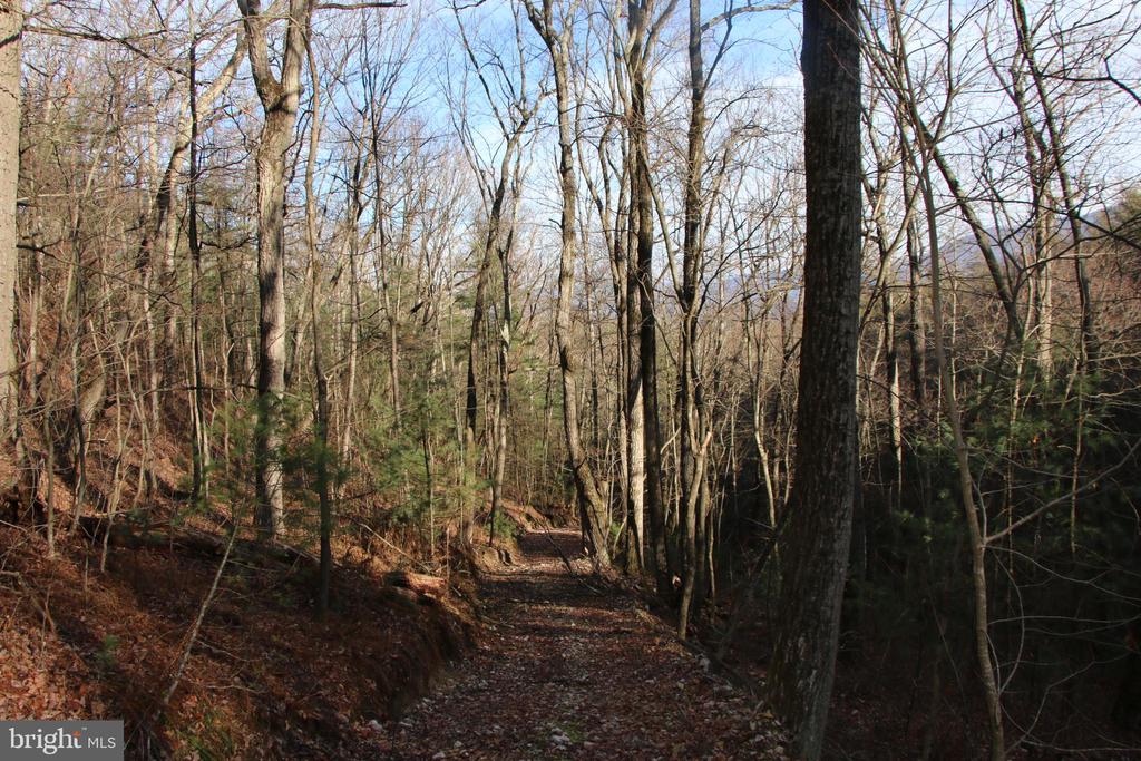 VALLEY BURG RD, LURAY, Virginia 22835, ,Farm,VALLEY BURG RD,VAPA2006260 MLS # VAPA2006260