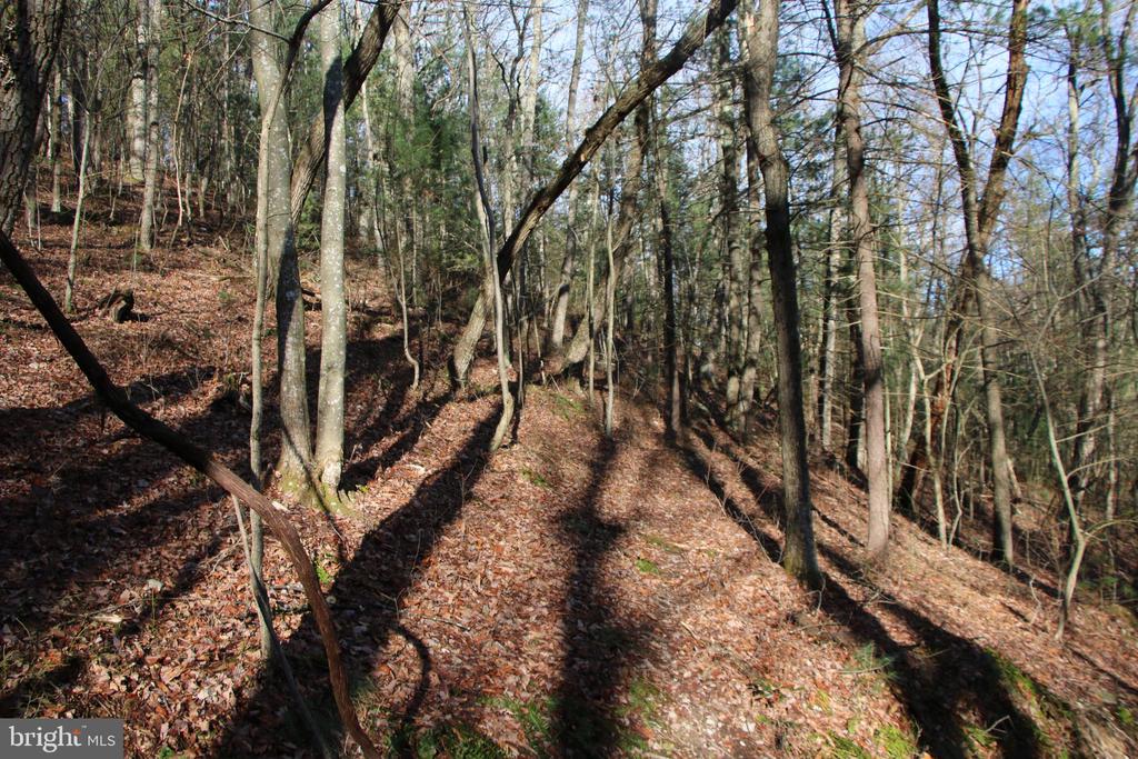 VALLEY BURG RD, LURAY, Virginia 22835, ,Farm,VALLEY BURG RD,VAPA2006260 MLS # VAPA2006260