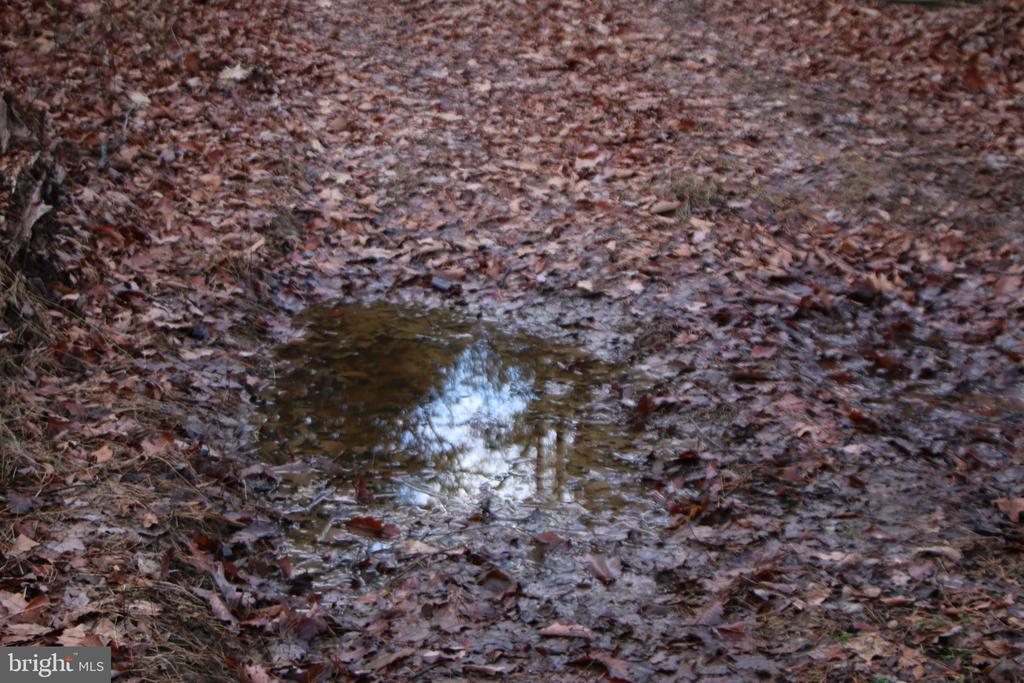 VALLEY BURG RD, LURAY, Virginia 22835, ,Farm,VALLEY BURG RD,VAPA2006260 MLS # VAPA2006260