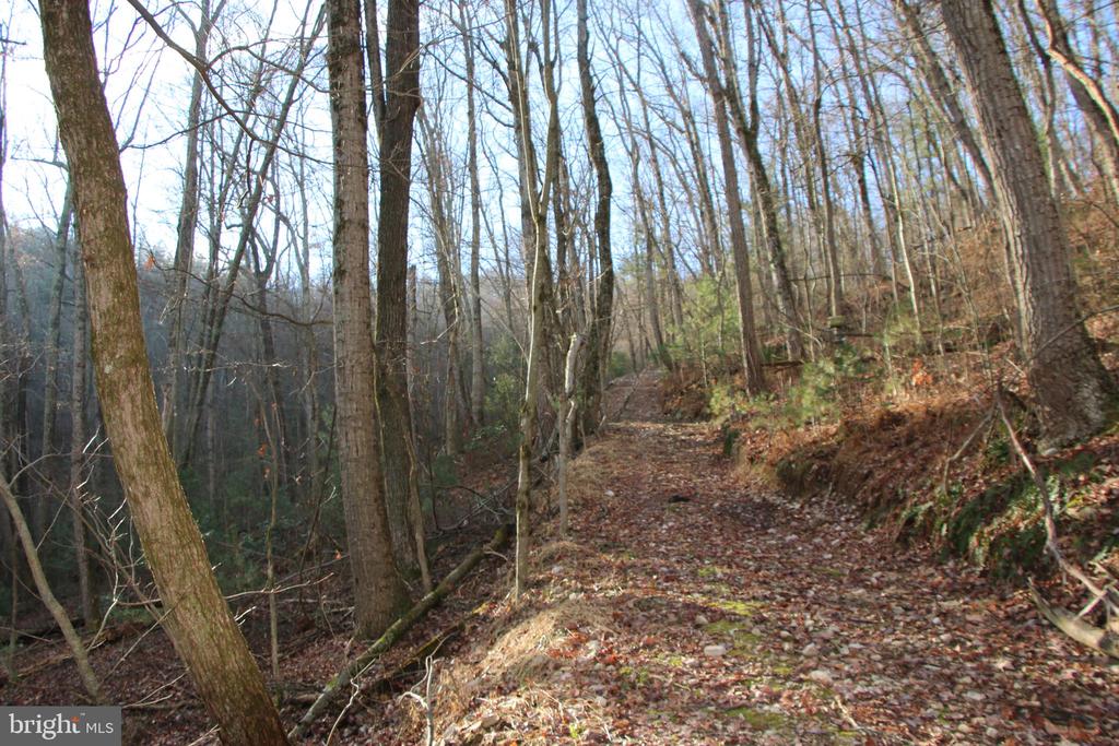 VALLEY BURG RD, LURAY, Virginia 22835, ,Farm,VALLEY BURG RD,VAPA2006260 MLS # VAPA2006260