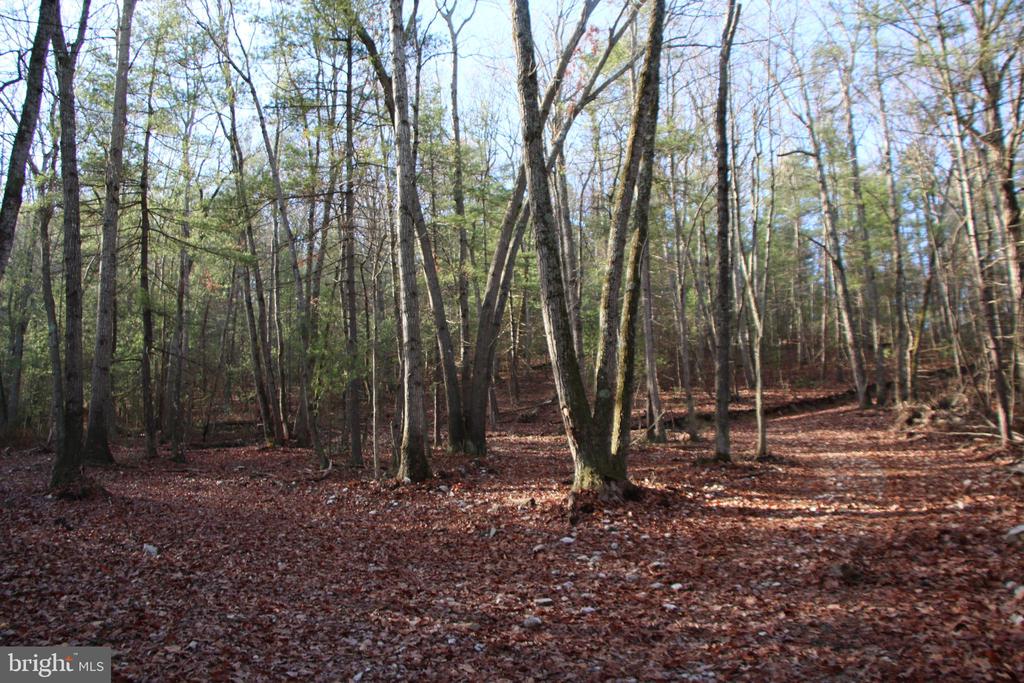 VALLEY BURG RD, LURAY, Virginia 22835, ,Farm,VALLEY BURG RD,VAPA2006260 MLS # VAPA2006260
