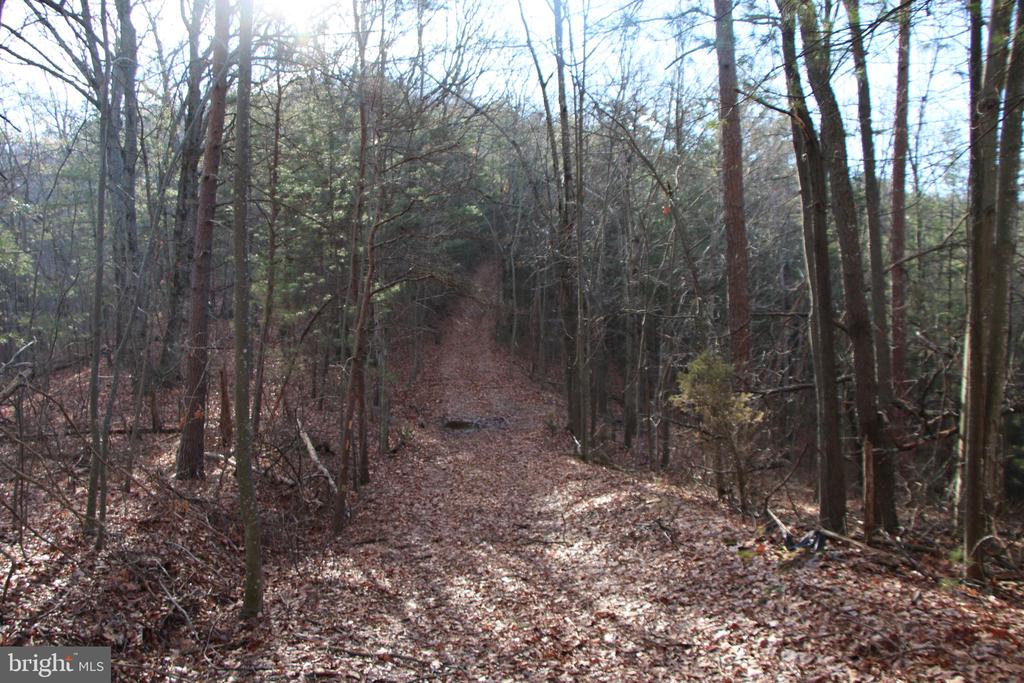 VALLEY BURG RD, LURAY, Virginia 22835, ,Farm,VALLEY BURG RD,VAPA2006260 MLS # VAPA2006260