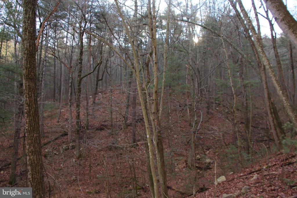 VALLEY BURG RD, LURAY, Virginia 22835, ,Farm,VALLEY BURG RD,VAPA2006260 MLS # VAPA2006260