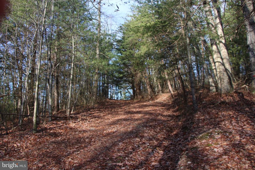 VALLEY BURG RD, LURAY, Virginia 22835, ,Farm,VALLEY BURG RD,VAPA2006260 MLS # VAPA2006260