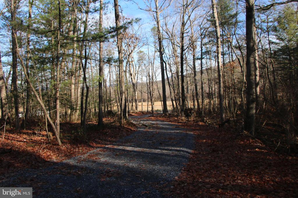 VALLEY BURG RD, LURAY, Virginia 22835, ,Farm,VALLEY BURG RD,VAPA2006260 MLS # VAPA2006260