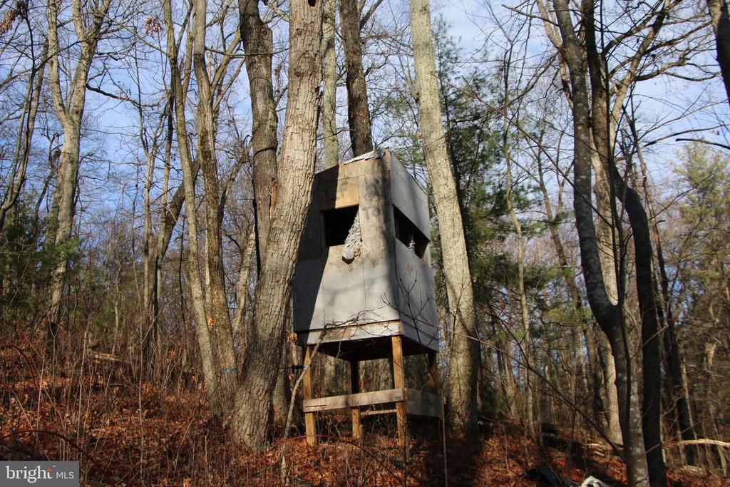 VALLEY BURG RD, LURAY, Virginia 22835, ,Farm,VALLEY BURG RD,VAPA2006260 MLS # VAPA2006260