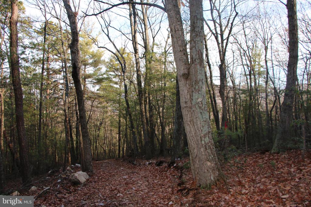 VALLEY BURG RD, LURAY, Virginia 22835, ,Farm,VALLEY BURG RD,VAPA2006260 MLS # VAPA2006260