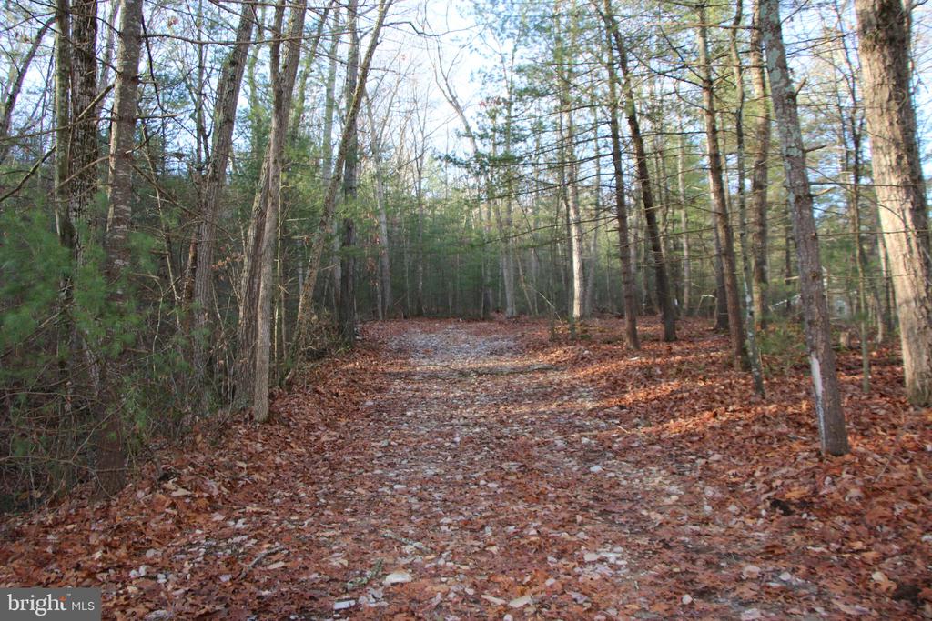 VALLEY BURG RD, LURAY, Virginia 22835, ,Farm,VALLEY BURG RD,VAPA2006260 MLS # VAPA2006260