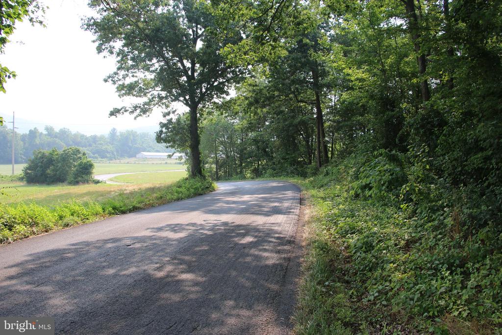 VALLEY BURG RD, LURAY, Virginia 22835, ,Farm,VALLEY BURG RD,VAPA2006260 MLS # VAPA2006260