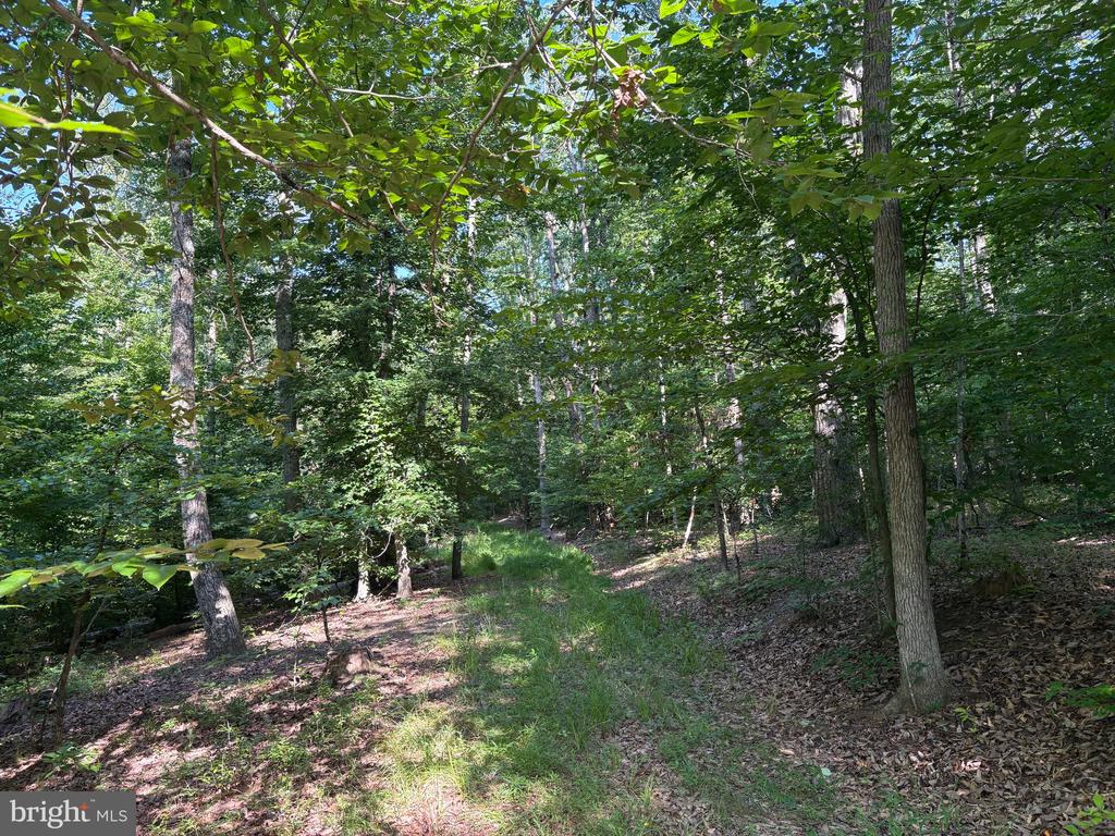 23 TAYLOR RD, LOUISA, Virginia 23093, ,Land,23 TAYLOR RD,VALA2009606 MLS # VALA2009606